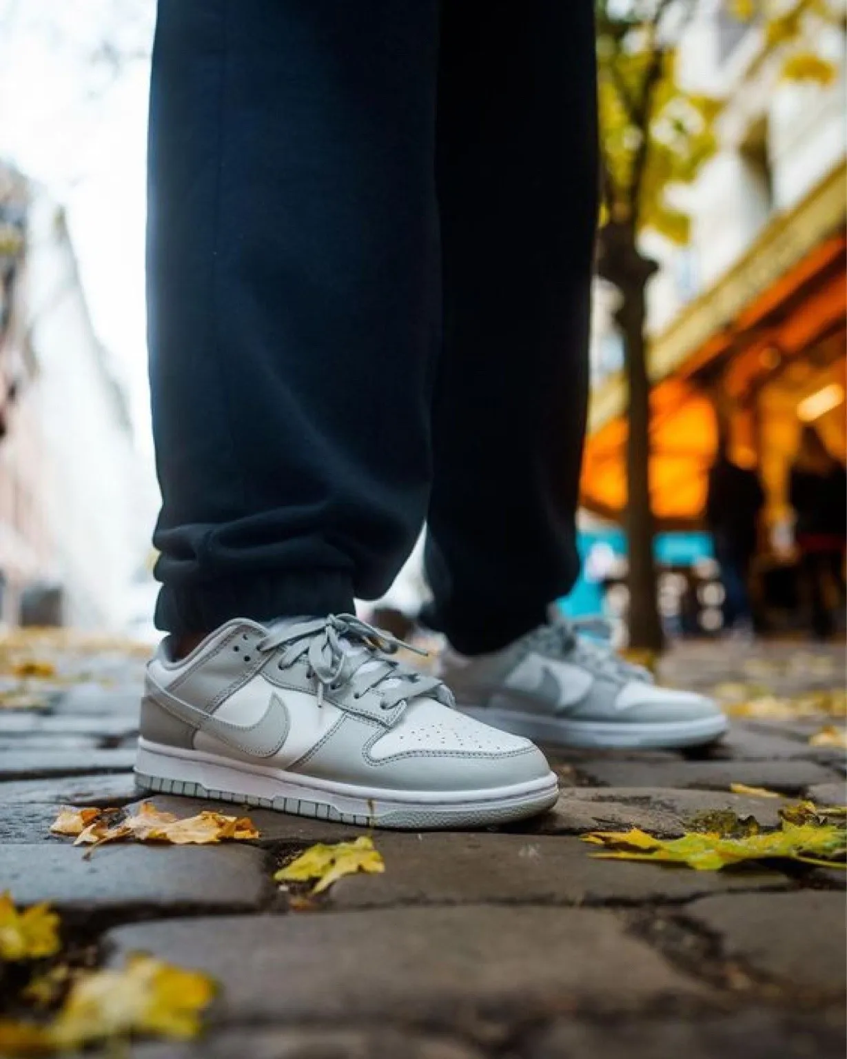 Dunk Low Wolf Grey фото