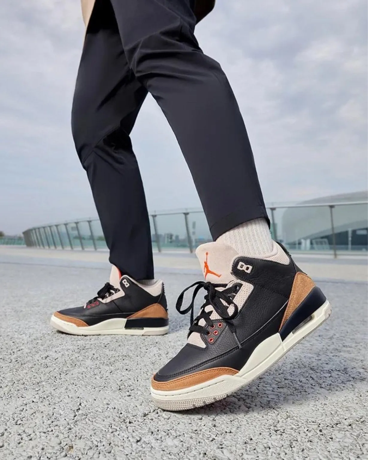 Air Jordan 3 Desert Elephant фото
