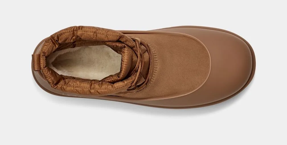 Classic Mini Lace-Up Brown фото