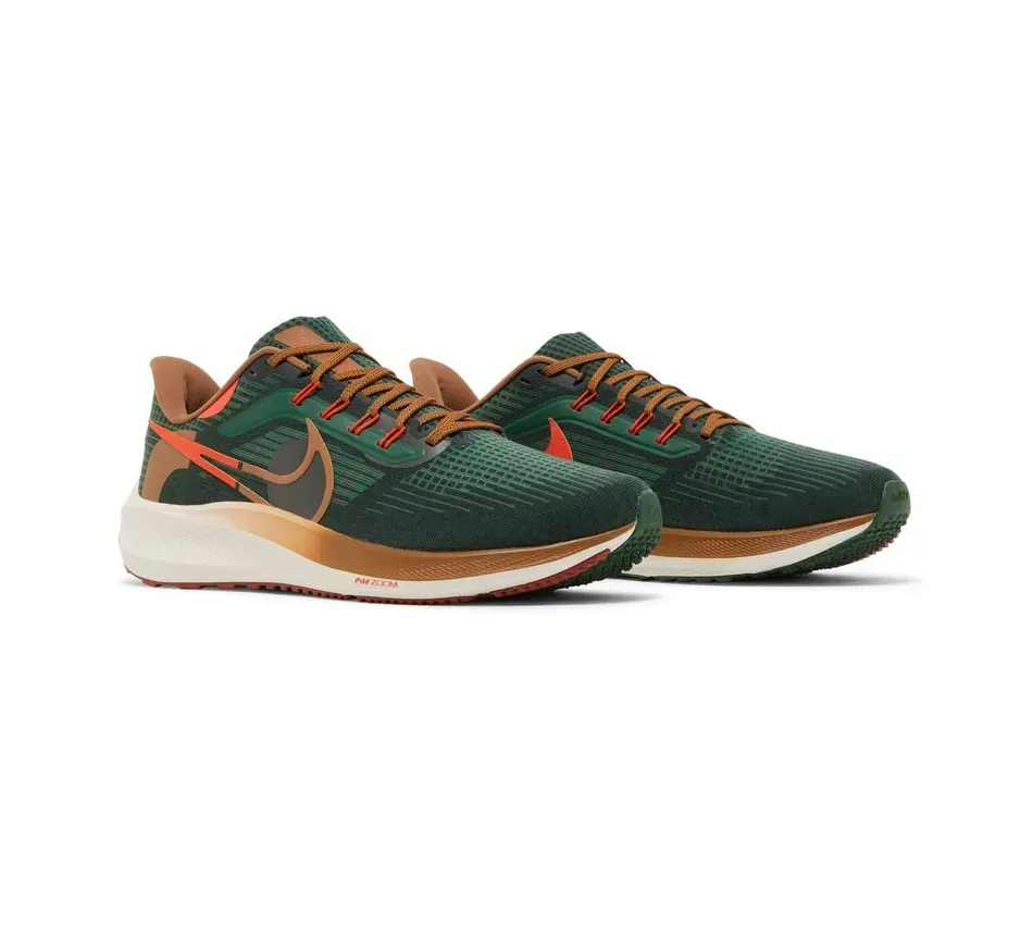Air Zoom Pegasus 39 X Hola Lou A.I.R. фото