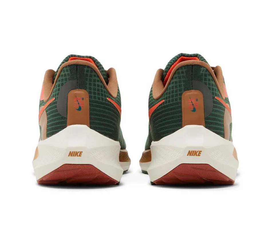 Air Zoom Pegasus 39 X Hola Lou A.I.R. фото