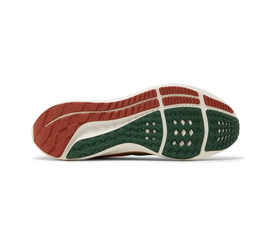 Air Zoom Pegasus 39 X Hola Lou A.I.R. фото