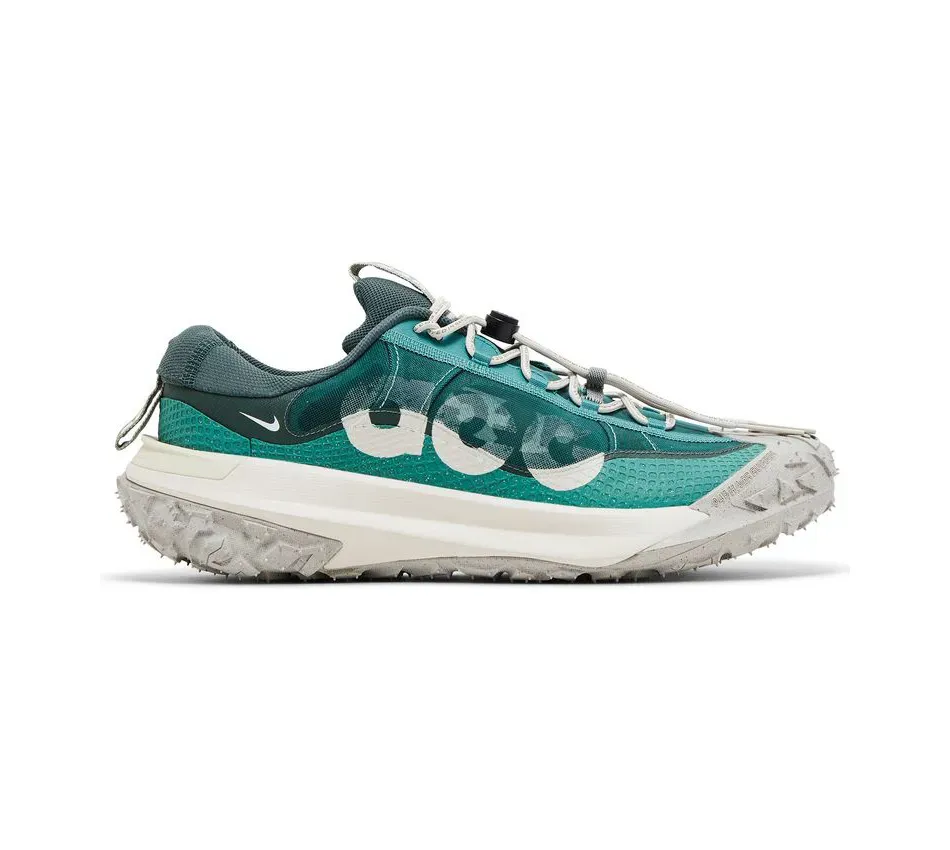 ACG Mountain Fly 2 Low Bicoastal фото