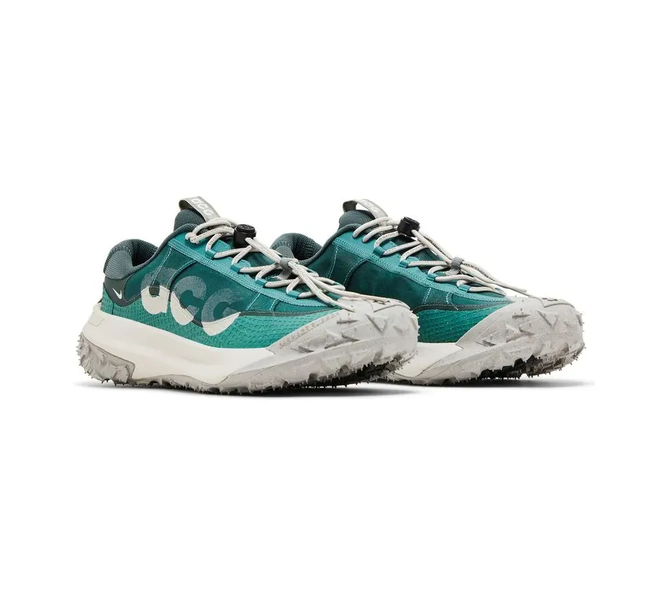 ACG Mountain Fly 2 Low Bicoastal фото