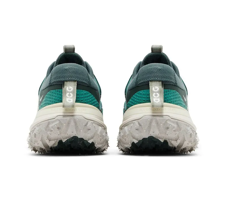 ACG Mountain Fly 2 Low Bicoastal фото