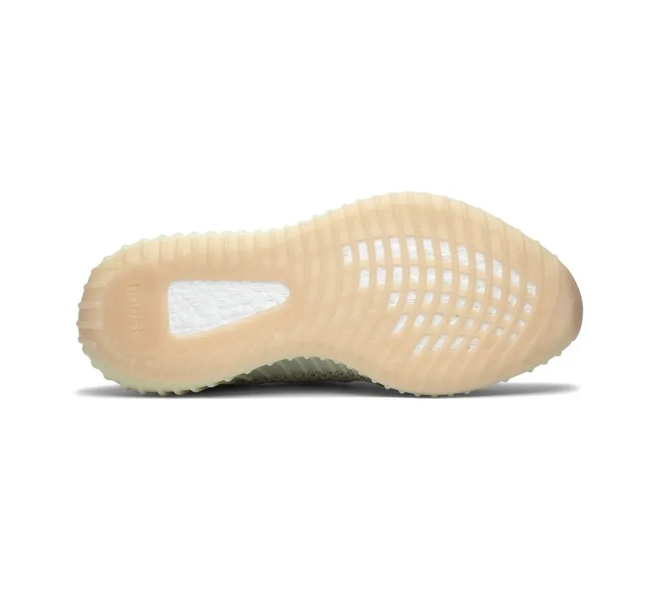 Yeezy Boost 350 V2 Antlia (Non-Reflective) (2019) фото