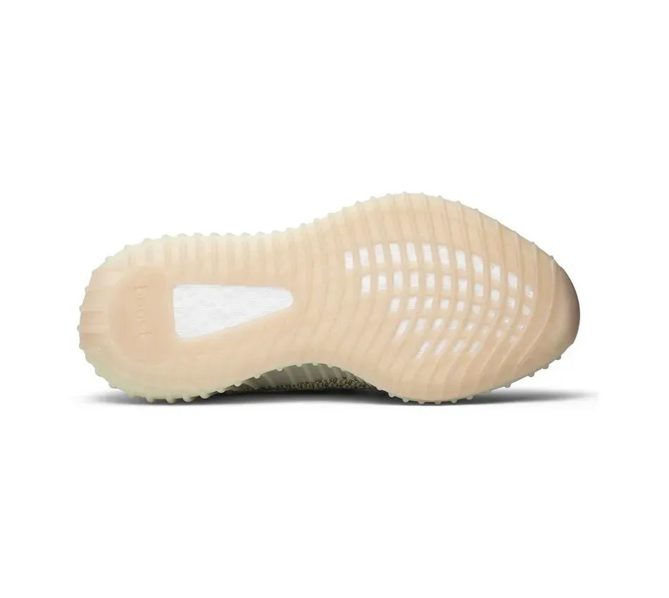 Antlia Reflective