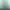 Sportswear Green