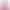 Pink Panama
